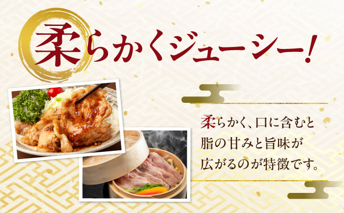 瑞浪ボーノポーク 肩ロース スライス 900g (300g×3) 瑞浪市 / マルチョウ渡辺精肉店 冷凍 豚肉 国産 小分け お取り寄せ [AZCW044] 900g