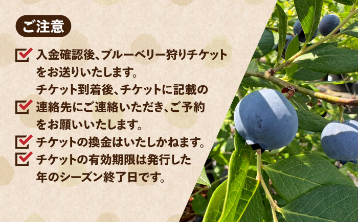 ブルーベリーファーム瑞浪 ブルーベリー狩り 90分 大人(中学生以上)2名様 ・ 子ども(小学生)2名様 チケット [AZCX003]