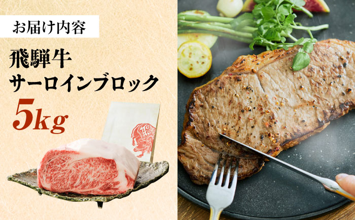 飛騨牛 サーロイン ブロック 5kg 瑞浪市 /  冷凍 和牛 ギフト [AZDB014]