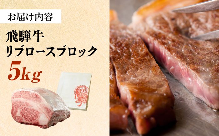 飛騨牛 リブロース ブロック 5kg 瑞浪市 /  冷凍 和牛 ギフト [AZDB015]