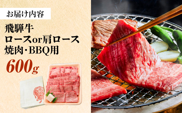 飛騨牛 焼肉 BBQ用 600ｇ 瑞浪市 /  冷凍 ロース 肩ロース 和牛 ギフト [AZDB016]