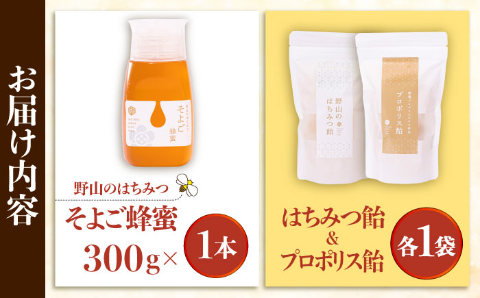 そよご蜜 × 飴 東濃地域 そよごセット 瑞浪市 / 堀養蜂園 はちみつ 蜂蜜 国産 [AZCF007]