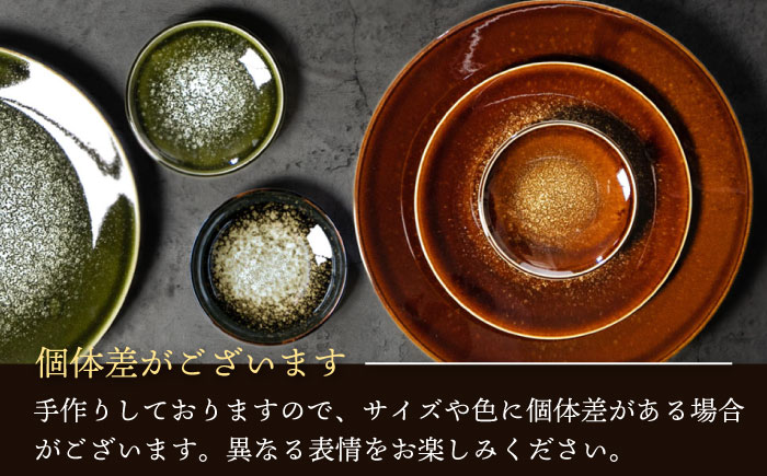 【美濃焼】 テラグラーズ ラージボウル オリビエ 5客揃 瑞浪市 / アワサカ 食器 鉢 ボウル [AZAD005]