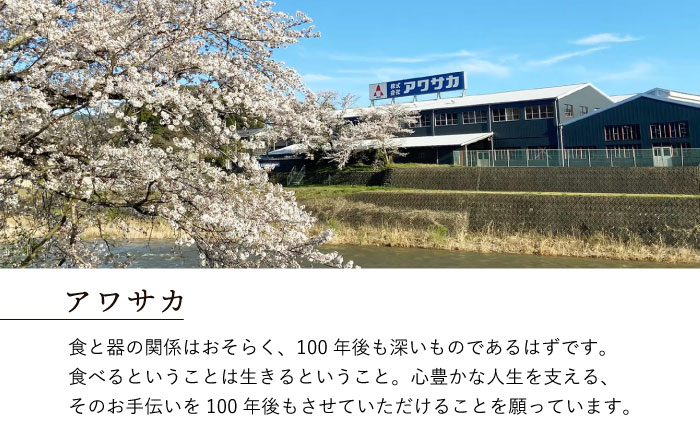 【美濃焼】 テラグラーズ サラダプレート オリビエ 5客揃 瑞浪市 / アワサカ 食器 皿 プレート [AZAD025]