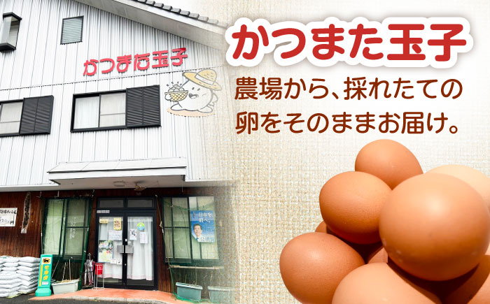 かつまた玉子 中玉パック 30個 (25個+割れ保証5個) 瑞浪市 / かつまた玉子 卵 たまご タマゴ 鶏卵 [AZAQ001]