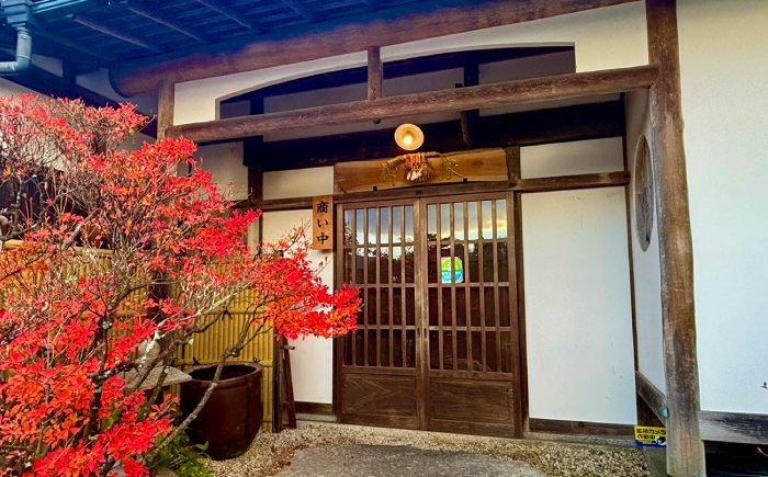 【12/22までの決済で年内発送】柳家 ボーノポークカレー 250g×2個 瑞浪市 / 陶ホープフル レトルト スパイス ギフト [AZBC001]