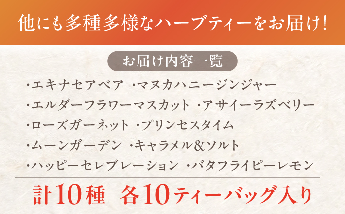 【12/24までの決済で年内発送】おいしい ハーブティー 10種 飲み比べ セット 各10個入 瑞浪市 / 生活の木 瑞浪ファクトリー直送 お茶 カフェインレス [AZBE022]