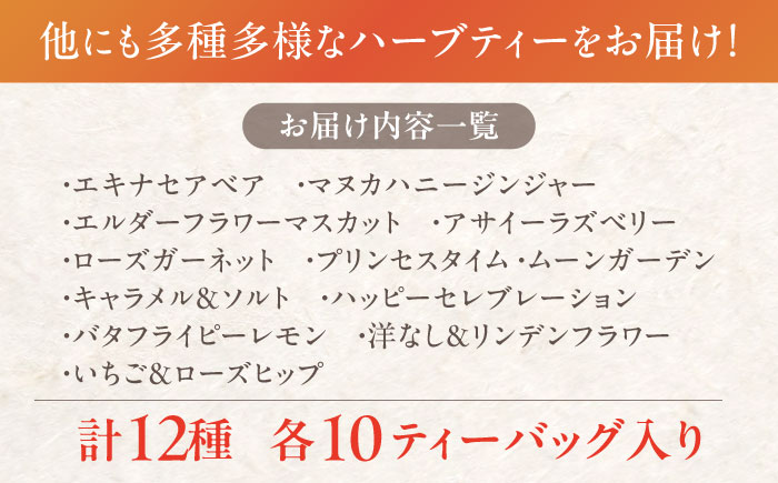 おいしい ハーブティー 12種 飲み比べ セット 各10個入 瑞浪市 / 生活の木 瑞浪ファクトリー直送 お茶 カフェインレス [AZBE073]