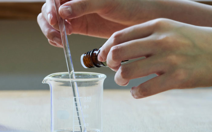 【2名様無料クーポン】 生活の木 工場見学＆ワークショップ体験 in瑞浪ファクトリー 瑞浪市 / 生活の木 [AZBE075]