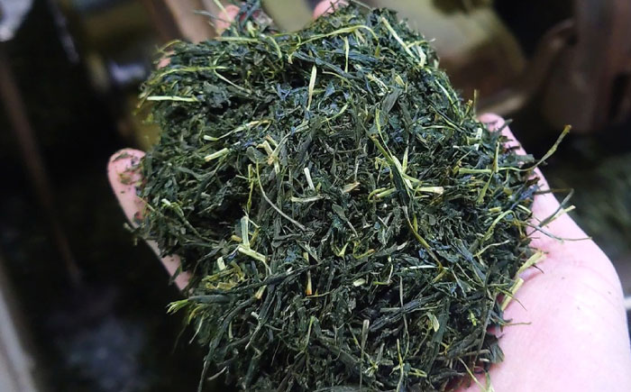 【岐阜県瑞浪市産】 お茶飲み比べセット E 緑茶・ほうじ茶ティーバッグ 瑞浪市 / 成瀬農場 瑞芳園 紅茶 国産 お茶 [AZBP011]