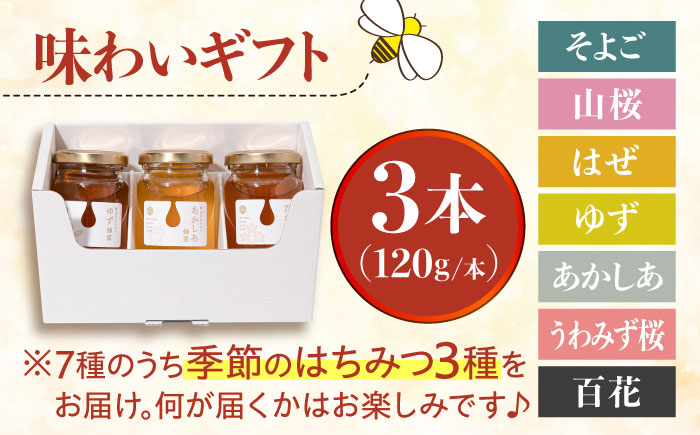 東美濃厳選 季節のはちみつ 味わいギフト 120g×3本 瑞浪市 / 堀養蜂園 おまかせ 蜂蜜 国産 [AZCF002]