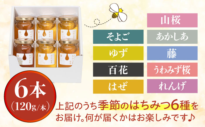 東美濃厳選 季節のはちみつ 味わい極ギフト 120g×6本 瑞浪市 / 堀養蜂園 おまかせ 蜂蜜 国産 [AZCF003]