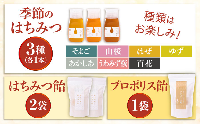 東美濃厳選 季節のはちみつ たっぷり味わいギフト 瑞浪市 / 堀養蜂園 蜂蜜 飴 セット 国産 [AZCF004]