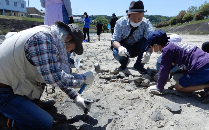 瑞浪市化石博物館 見学と化石採集プライベートツアー（一日）＆ グッズセット 瑞浪市 [AZCJ006]