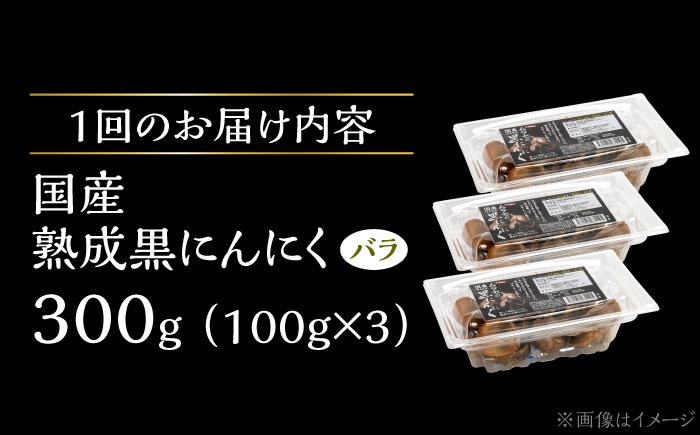 【12回定期便】 国産熟成 黒にんにく 300g (100g×3) バラ 瑞浪市 / 国産ムラセの熟成黒にんにく 青森県産 ニンニク [AZCO018] 12回定期便