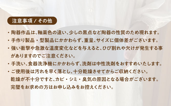 【美濃焼】 ランチプレート 2つ仕切り 四角 21cm 1枚 黒マット 瑞浪市 / 窯元ロングアイランド おしゃれ 食器 シンプル レンジ対応 食洗機対応 [AZCU021] 黒マット