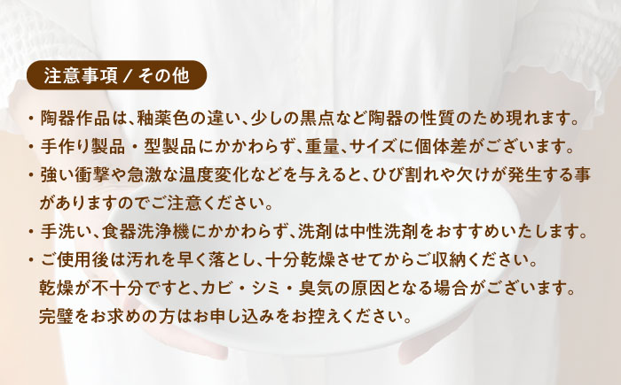 【美濃焼】 カレー皿 ＆ パスタ皿 24cm 1枚 パープルマット 瑞浪市 / 窯元ロングアイランド おしゃれ 食器 シンプル レンジ対応 食洗機対応 [AZCU083] パープルマット