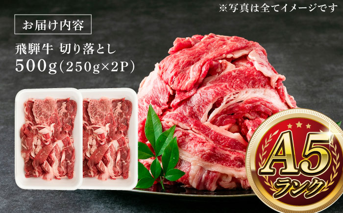 【12/22までの決済で年内発送】A5等級 飛騨牛 切り落とし 500g (250g×2P) 瑞浪市 / マルチョウ渡辺精肉店 牛肉 和牛 国産 ギフト お取り寄せ [AZCW001]