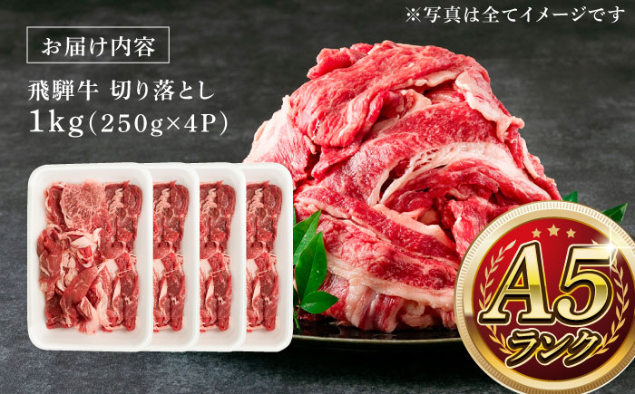 A5等級 飛騨牛 切り落とし 1kg (250g×4P) 瑞浪市 / マルチョウ渡辺精肉店 牛肉 和牛 国産 ギフト お取り寄せ [AZCW002]