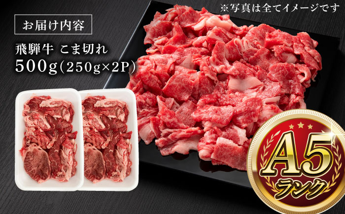 【12/22までの決済で年内発送】A5等級 飛騨牛 こま切れ 500g (250g×2P) 瑞浪市 / マルチョウ渡辺精肉店 牛肉 和牛 国産 ギフト お取り寄せ [AZCW003]