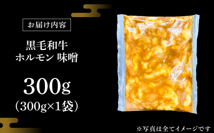 岐阜県産 黒毛和牛ホルモン 味噌 300g （300g×1袋） 瑞浪市 / マルチョウ渡辺精肉店 和牛ホルモン 焼肉 炒め 国産 [AZCW052] 300g （300g×1袋）