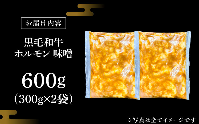 岐阜県産 黒毛和牛ホルモン 味噌 600g （300g×2袋） 瑞浪市 / マルチョウ渡辺精肉店 和牛ホルモン 焼肉 炒め 国産 [AZCW053] 600g （300g×2袋）