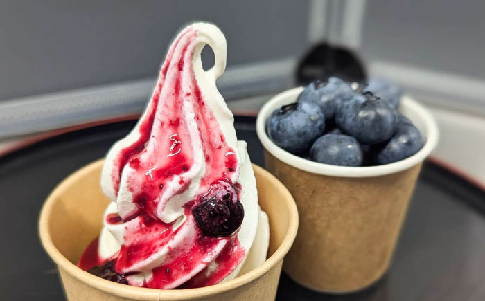 ブルーベリーファーム瑞浪 ブルーベリー狩り 90分 大人(中学生以上)2名様 ・ 子ども(小学生)1名様 チケット [AZCX002]