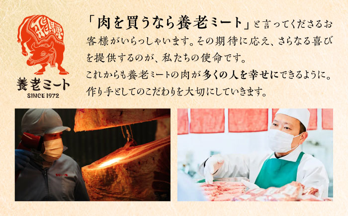 飛騨牛 切り落とし 280g 瑞浪市 /  冷凍 赤身 和牛 訳あり お試し [AZDB002] 280g