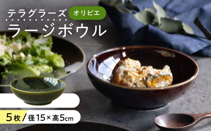 【美濃焼】 テラグラーズ ラージボウル オリビエ 5客揃 瑞浪市 / アワサカ 食器 鉢 ボウル [AZAD005]