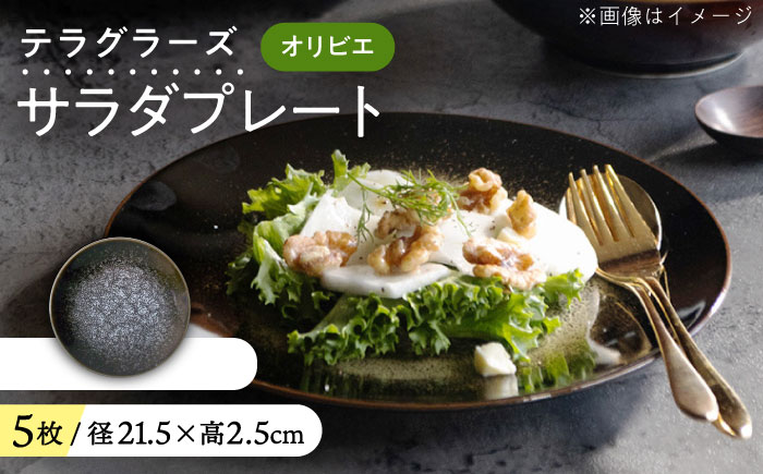 【美濃焼】 テラグラーズ サラダプレート オリビエ 5客揃 瑞浪市 / アワサカ 食器 皿 プレート [AZAD025]