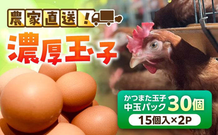かつまた玉子 中玉パック 30個 (25個+割れ保証5個) 瑞浪市 / かつまた玉子 卵 たまご タマゴ 鶏卵 [AZAQ001]