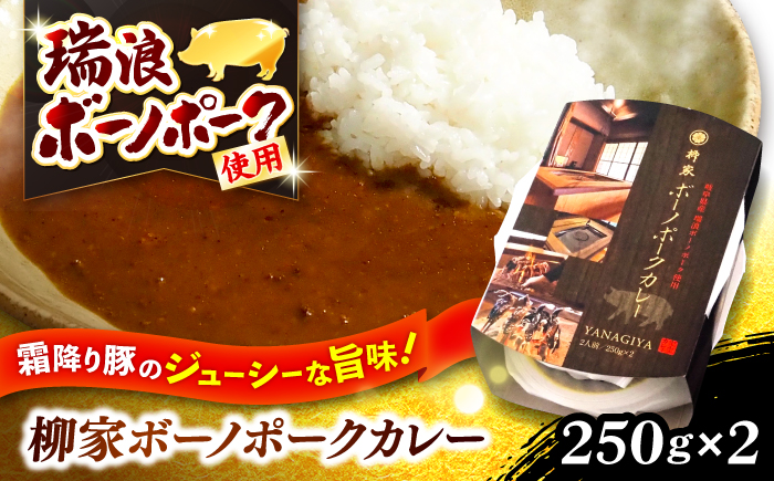 【12/22までの決済で年内発送】柳家 ボーノポークカレー 250g×2個 瑞浪市 / 陶ホープフル レトルト スパイス ギフト [AZBC001]