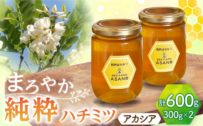 【12/22までの決済で年内発送】純粋ハチミツ アカシア 300g×2 瑞浪市 / honey shop Bee farm asano 蜂蜜 はちみつ [AZBT001]