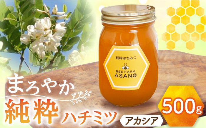 【12/22までの決済で年内発送】純粋ハチミツ アカシア 500g×1 瑞浪市 / honey shop Bee farm asano 蜂蜜 はちみつ [AZBT002]