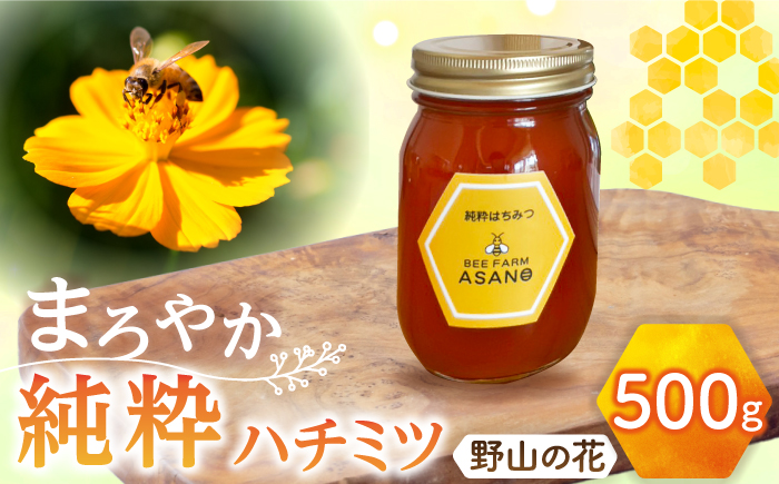 【12/22までの決済で年内発送】純粋ハチミツ 野山の花 500g×1 瑞浪市 / honey shop Bee farm asano 蜂蜜 はちみつ [AZBT005]