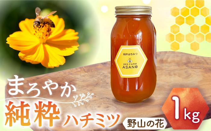 【12/22までの決済で年内発送】純粋ハチミツ 野山の花 1,000g×1 瑞浪市 / honey shop Bee farm asano 蜂蜜 はちみつ [AZBT006]
