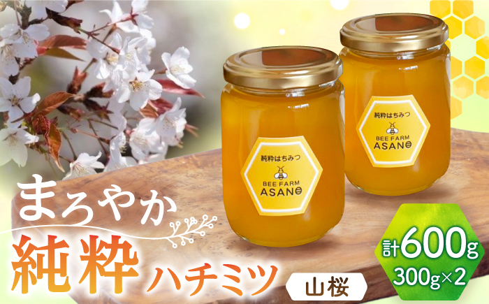 【12/22までの決済で年内発送】純粋ハチミツ 山桜 300g×2 瑞浪市 / honey shop Bee farm asano 蜂蜜 はちみつ [AZBT007]
