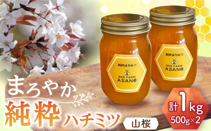 【12/22までの決済で年内発送】純粋ハチミツ 山桜 500g×2 瑞浪市 / honey shop Bee farm asano 蜂蜜 はちみつ [AZBT009]