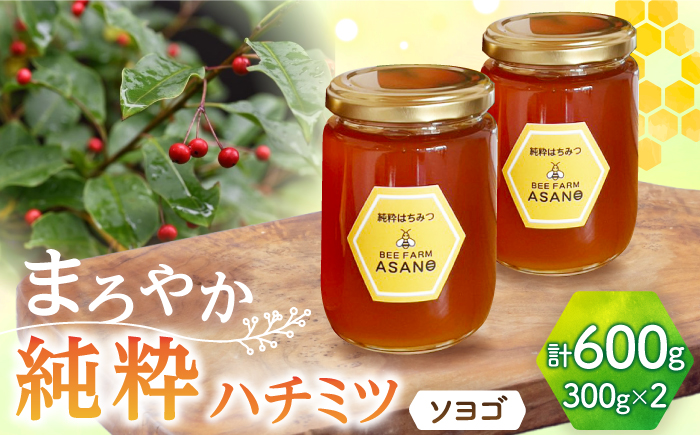 【12/22までの決済で年内発送】純粋ハチミツ ソヨゴ 300g×2 瑞浪市 / honey shop Bee farm asano 蜂蜜 はちみつ [AZBT010]