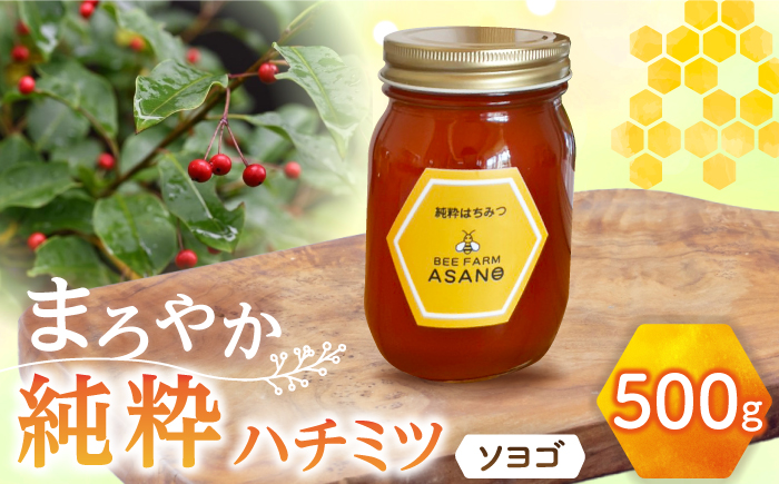 【12/22までの決済で年内発送】純粋ハチミツ ソヨゴ 500g×1 瑞浪市 / honey shop Bee farm asano 蜂蜜 はちみつ [AZBT011]