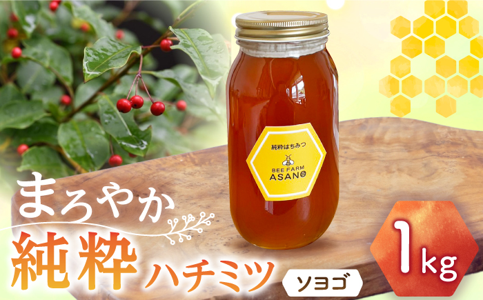 【12/22までの決済で年内発送】純粋ハチミツ ソヨゴ 1,000g×1 瑞浪市 / honey shop Bee farm asano 蜂蜜 はちみつ [AZBT012]