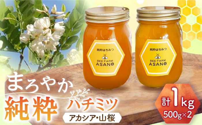 【12/22までの決済で年内発送】純粋ハチミツ 2種セット (アカシア500g×1 山桜500g×1) 瑞浪市 / honey shop Bee farm asano 蜂蜜 はちみつ [AZBT013]