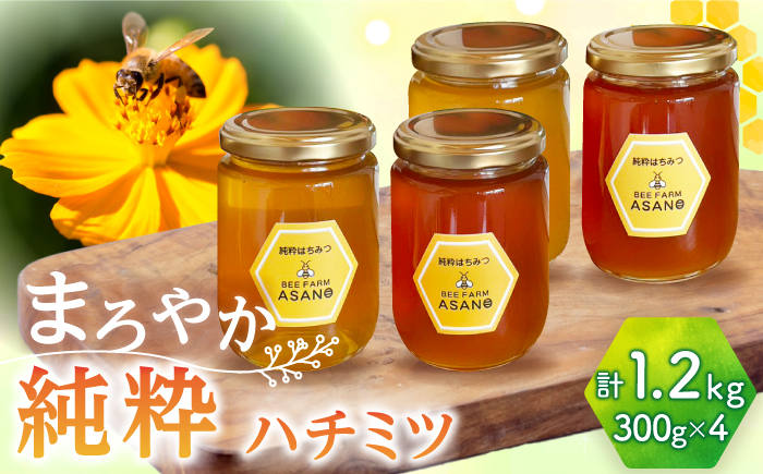 【12/22までの決済で年内発送】純粋ハチミツ 4種セット (アカシア 山桜 ソヨゴ 野山の花 300g×各1) 瑞浪市 / honey shop Bee farm asano 蜂蜜 はちみつ [AZBT015]