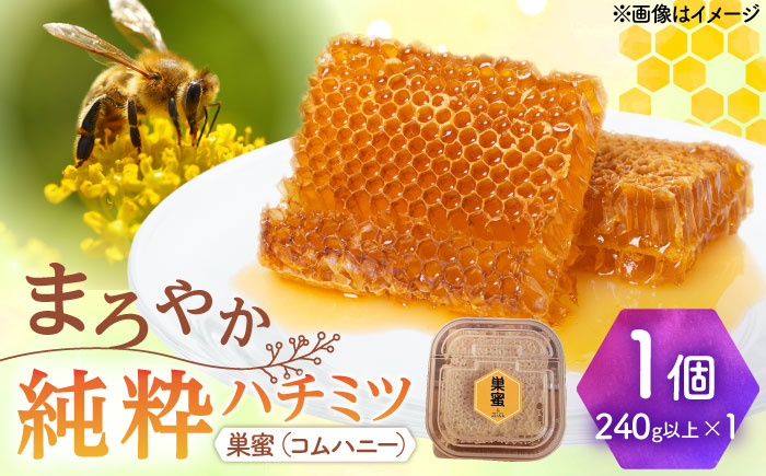 【12/22までの決済で年内発送】純粋ハチミツ 巣蜜（コムハニー） 瑞浪市 / honey shop Bee farm asano 蜂蜜 はちみつ [AZBT017]