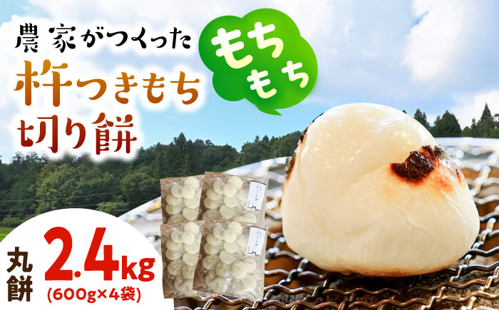 【12/10までの寄附で年内発送】農家がつくった杵つきもち 切り餅 丸餅 2.4kg （小分包装 / 600g×4袋） きねふりもち使用 瑞浪市 / 農事組合法人日吉機械営農組合 白餅 お餅 岐阜県産 国産 期間限定 [AZBW005]