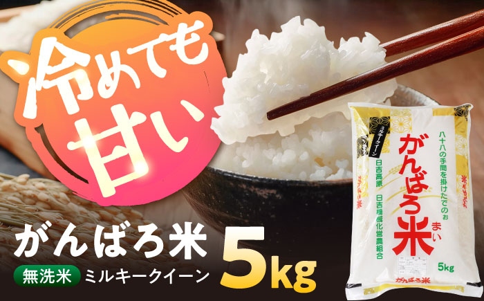 ＼お申込みは12月31日まで！／ 令和7年産 無洗米 岐阜県産 ミルキークイーン 5kg がんばろ米 瑞浪市 / 農事組合法人日吉機械営農組合 [AZBW006]