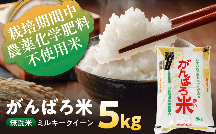 ＼お申込みは12月31日まで！／ 令和7年産 栽培期間中農薬化学肥料不使用米 無洗米 岐阜県産 ミルキークイーン 5kg がんばろ米 瑞浪市 / 農事組合法人日吉機械営農組合 [AZBW007]