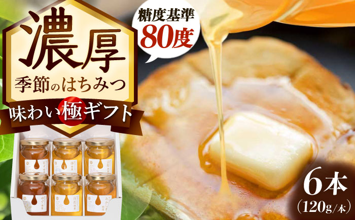 東美濃厳選 季節のはちみつ 味わい極ギフト 120g×6本 瑞浪市 / 堀養蜂園 おまかせ 蜂蜜 国産 [AZCF003]