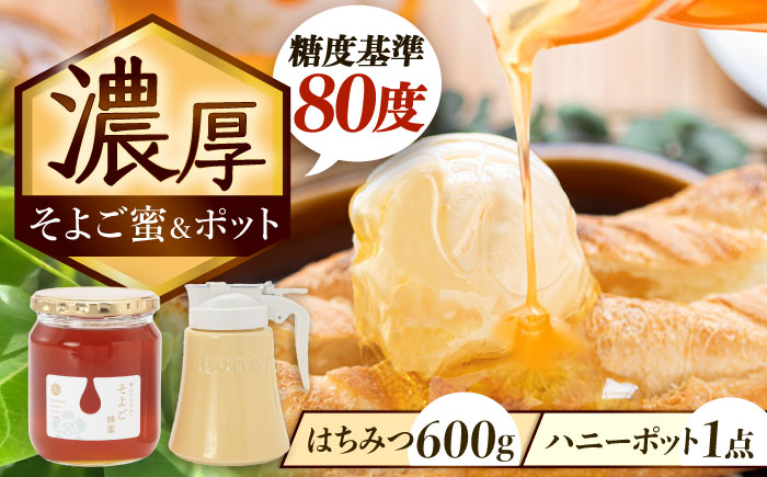 はちみつ そよご蜜 × ハニーポット (黄) ビギナーズセット 瑞浪市 / 堀養蜂園 蜂蜜 国産 陶磁器 [AZCF006]