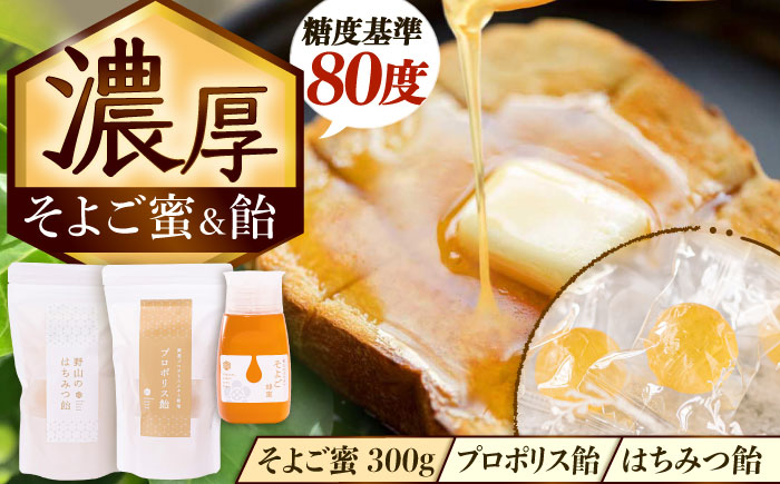 そよご蜜 × 飴 東濃地域 そよごセット 瑞浪市 / 堀養蜂園 はちみつ 蜂蜜 国産 [AZCF007]